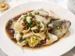清蒸鲜花椒鲈鱼-东方之珠海鲜酒楼(南开店)
