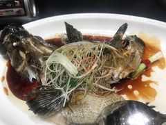 清蒸龙胆鱼-紫阳海鲜楼·传承闽味(长乐路总店)