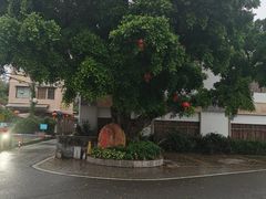 -亮庆餐厅·粤菜·早茶(篁庄店)