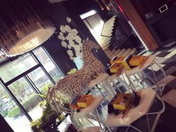 -THANN EXPRESS SPA