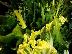 -牛很鲜潮汕牛肉火锅(朝晖路店)