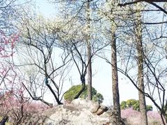 -无锡梅园公园