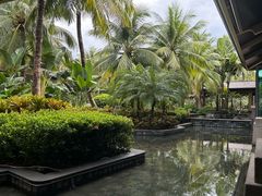 -海南清水湾莱佛士酒店