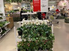 -IKEA宜家家居(南京商场)