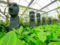 -南宫五洲植物乐园