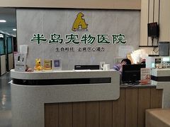 -半岛宠物医院24小时(科华中路店)