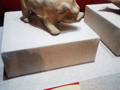 -烟台市博物馆