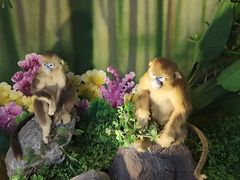 -西霞口神雕山野生动物世界