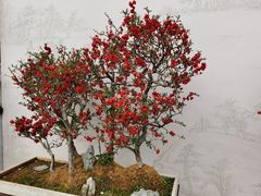 -陶然亭公园