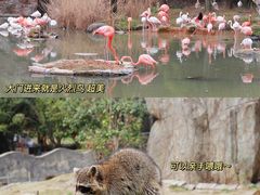 -宁波野生动物园