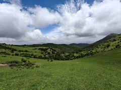 -大姆山草场