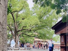 -西湖外事游船(花港观鱼码头)