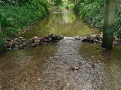 -桤木河湿地公园