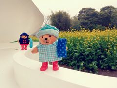 android_upload_pic-广州市石门国家森林公园
