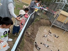 -前小桔亲子创意农场·草莓采摘·露营烧烤