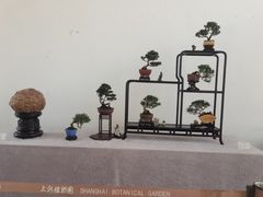 -上海植物园-4号门售票处