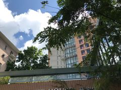 -香港大学