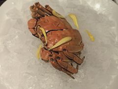 -甄御•海鲜新青岛菜(麦岛店)