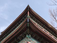 -丽江庭院·云南野生菌·海鲜火锅(鼓楼四合院店)