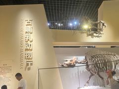 -国家自然博物馆