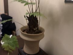 -豫满楼(正光路店)