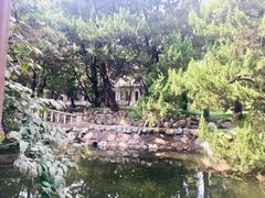 -叶家花园