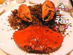 -喜记避风塘炒辣蟹(旗舰店)