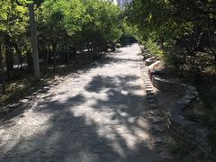 -青城公园