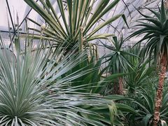 -北京植物园-展览温室