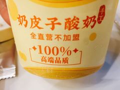 自制酸奶-紫光园(全国总店)