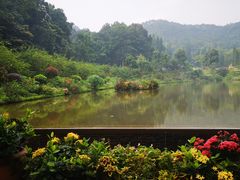 -深圳仙湖植物园-停车场