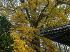 -青岛崂山太清宫