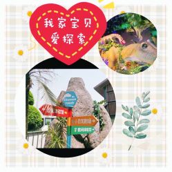 -恐龙探索乐园(磁器口店)