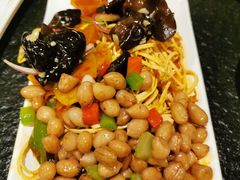 爽口大拌菜-福苗小骆驼烧烤(大唐不夜城店)