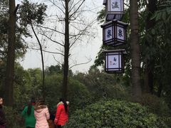 -天赐温泉