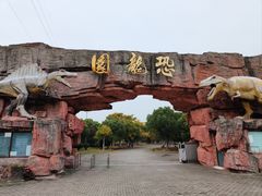 -上海海湾国家森林公园