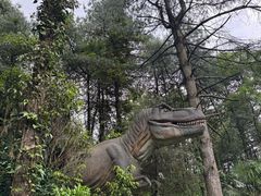 -贵州森林野生动物园