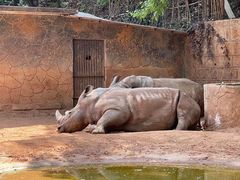-昆明动物园