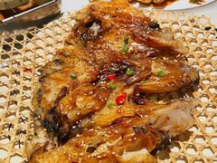 -京城·森鸽排档(双井店)