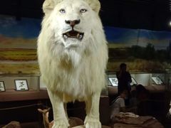 -陕西自然博物馆