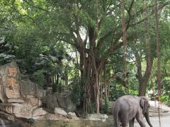 -深圳野生动物园