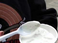 -洪馨椰子