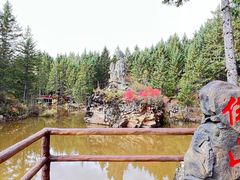 -汤旺河林海奇石景区