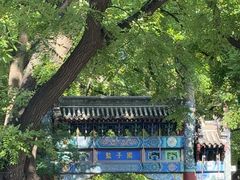 -北京国子监胡同