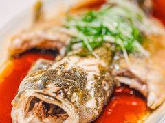 -新光酒家·河豚·海鲜·蟹料理(浦东店)