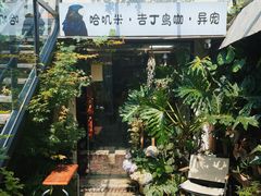 -吉丁鸟咖·异宠·寄养