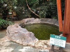 -龙达温泉生态城