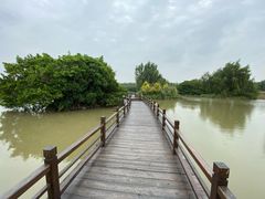-大湾区中央湿地公园