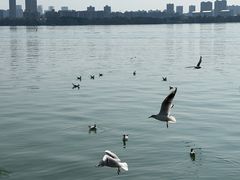 -无锡蠡湖国家湿地公园-蠡园