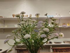 -铃木食堂(丽都店)